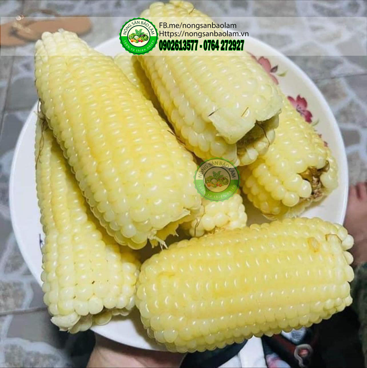 Bắp Nếp Nù loại 3-4Trái 1kg 3