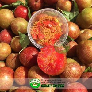 Bạn biết gì về Mận Hậu Mộc Châu
