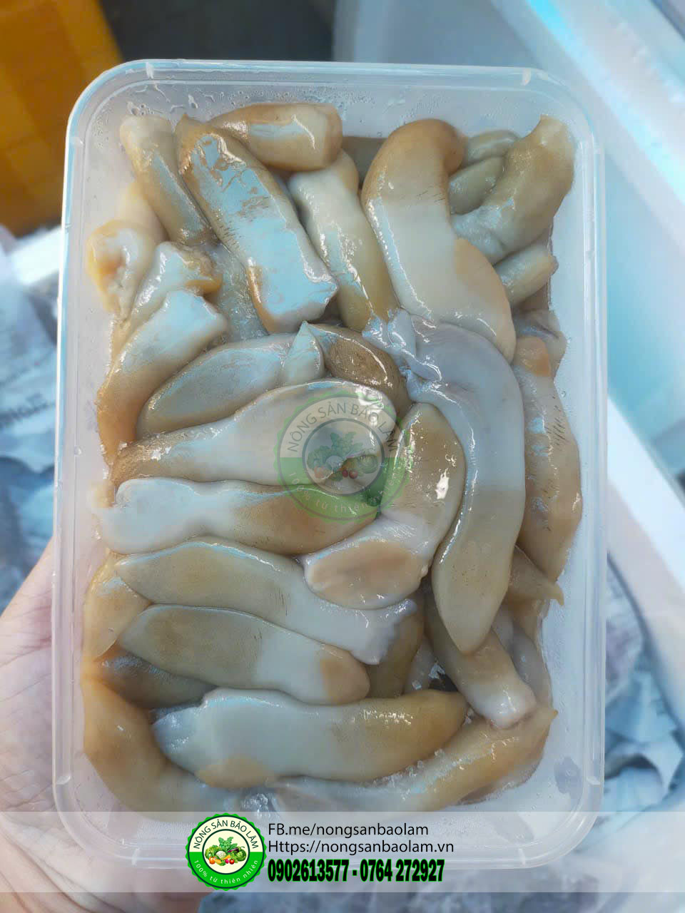 Ruột ốc móng tay - nông sản bảo lâm