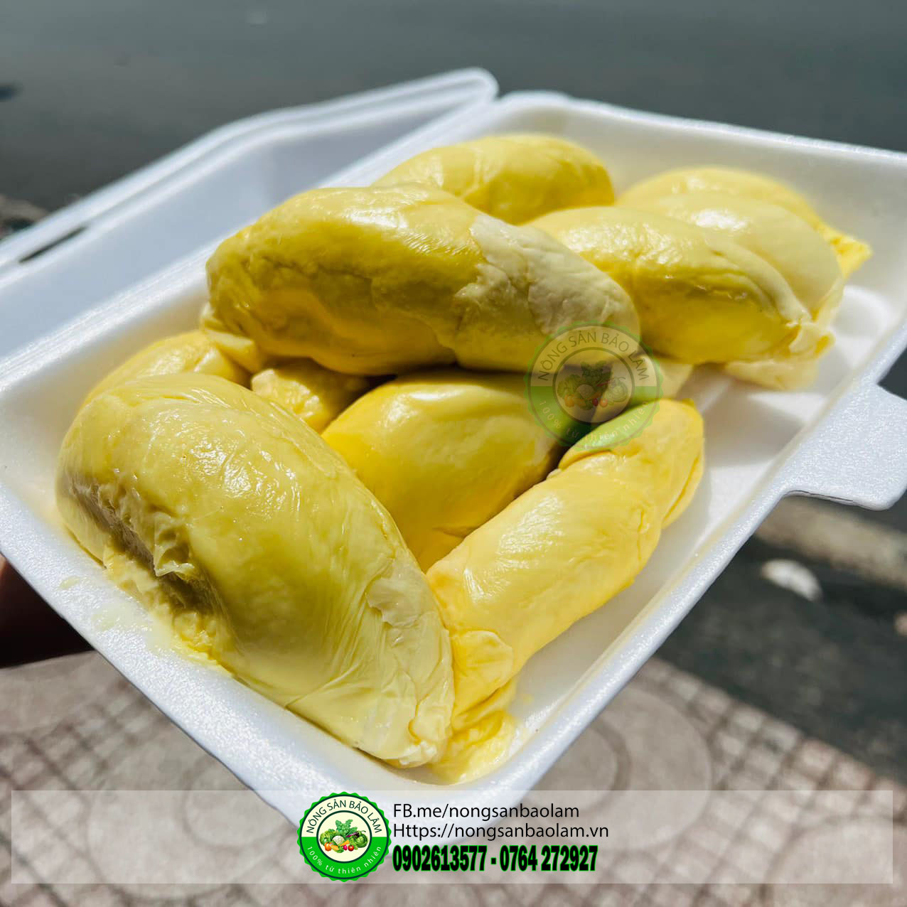 Sầu Riêng Chuồng bò da xanh hạt lép - nông sản bảo lâm