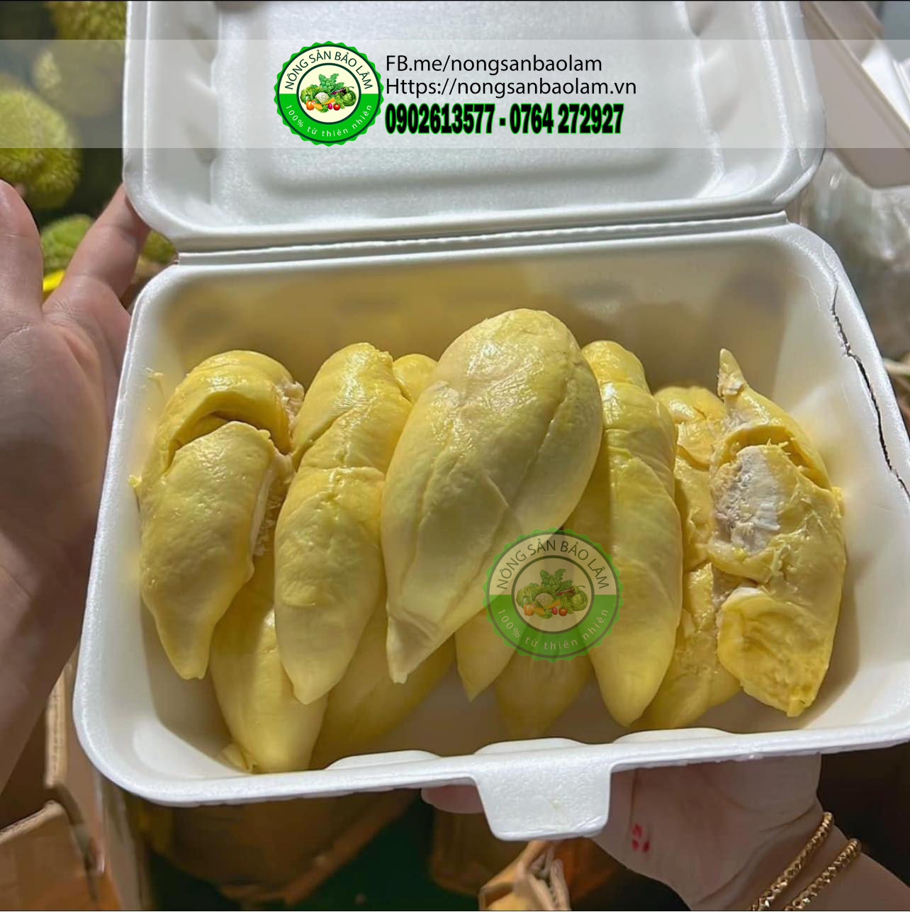 Sầu chuồng bò da nâu béo ngọt - nongsanbaolam 4