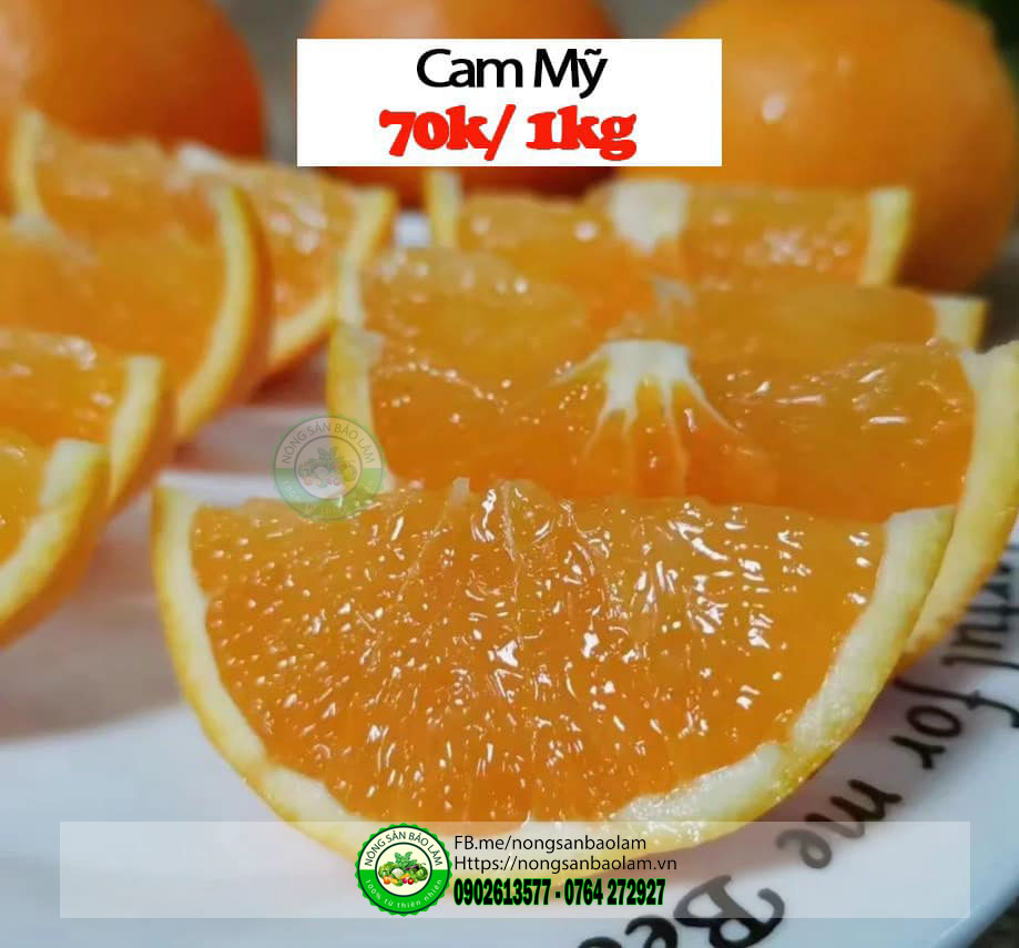 cam mỹ - trái cây quận 10 hcm - nông sản bảo lâm