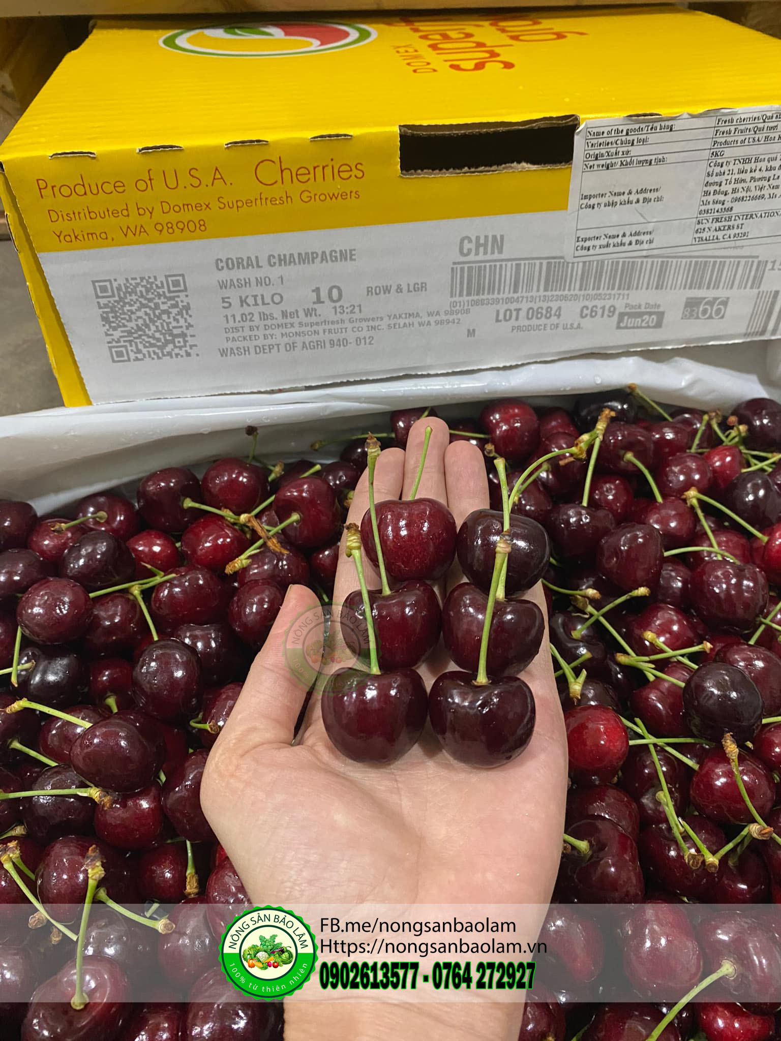 cherry mỹ - nông sản bảo lâm