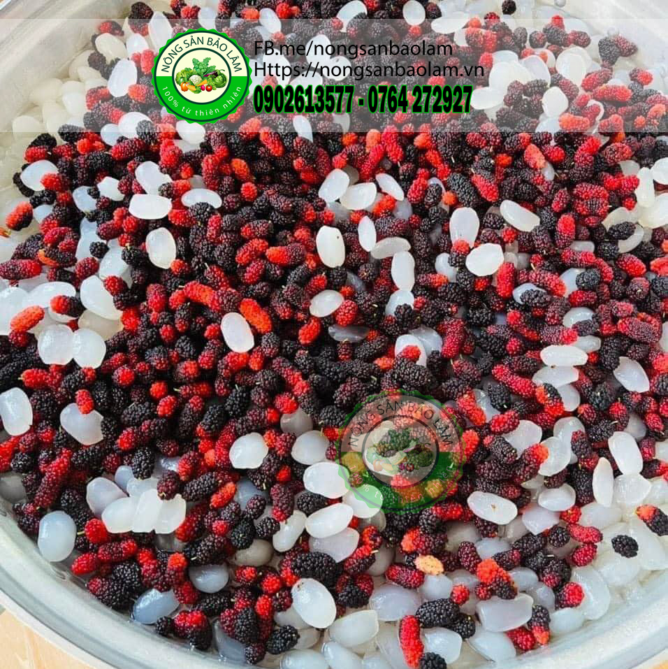 dâu tằm đà lạt - nongsanbaolam 2 full