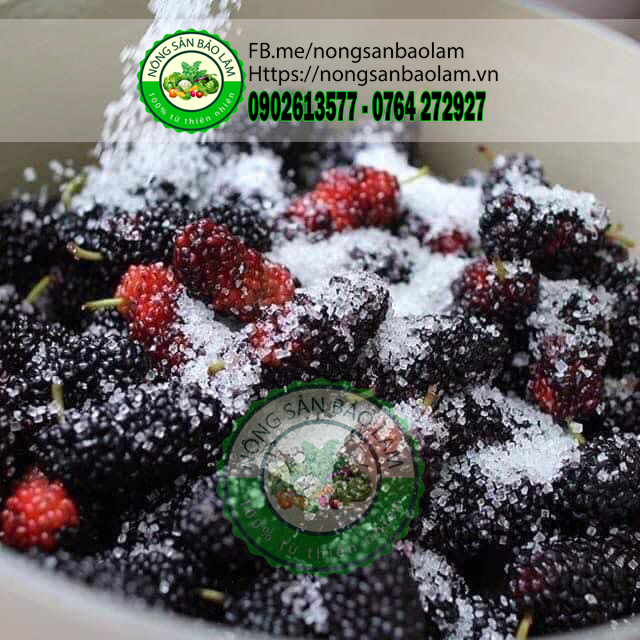 dâu tằm đà lạt - nongsanbaolam 23456 full