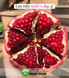 Lựu Ruby
