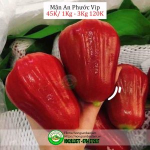 Nông Sản Bảo Lâm, Trái Cây Quận 10 HCM, Trái Cây Sài Gòn, Trái Cây Xanh, Trái Cây Sạch, Trái Cây Xuất Khẩu, Trái Cây Nhập Khẩu, Trái Cây Theo Mùa, Trái Cây Vườn, Nông Sản Sạch, fruits, healthy food, Hàng Tiêu Dùng, Hải Sản Tươi Sống, Nho, Dâu, Táo, Lê, Sầu Riêng, Bưởi, Thơm, Dưa Hấu, Cherry, Cá, Hàu, Thịt Heo, Thịt Gà, Thịt Bò, Mẹ, Bé