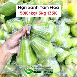 Nông Sản Bảo Lâm, Trái Cây Quận 10 HCM, Trái Cây Sài Gòn, Trái Cây Xanh, Trái Cây Sạch, Trái Cây Xuất Khẩu, Trái Cây Nhập Khẩu, Trái Cây Theo Mùa, Trái Cây Vườn, Nông Sản Sạch, fruits, healthy food, Hàng Tiêu Dùng, Hải Sản Tươi Sống, Nho, Dâu, Táo, Lê, Sầu Riêng, Bưởi, Thơm, Dưa Hấu, Cherry, Cá, Hàu, Thịt Heo, Thịt Gà, Thịt Bò, Mẹ, Bé