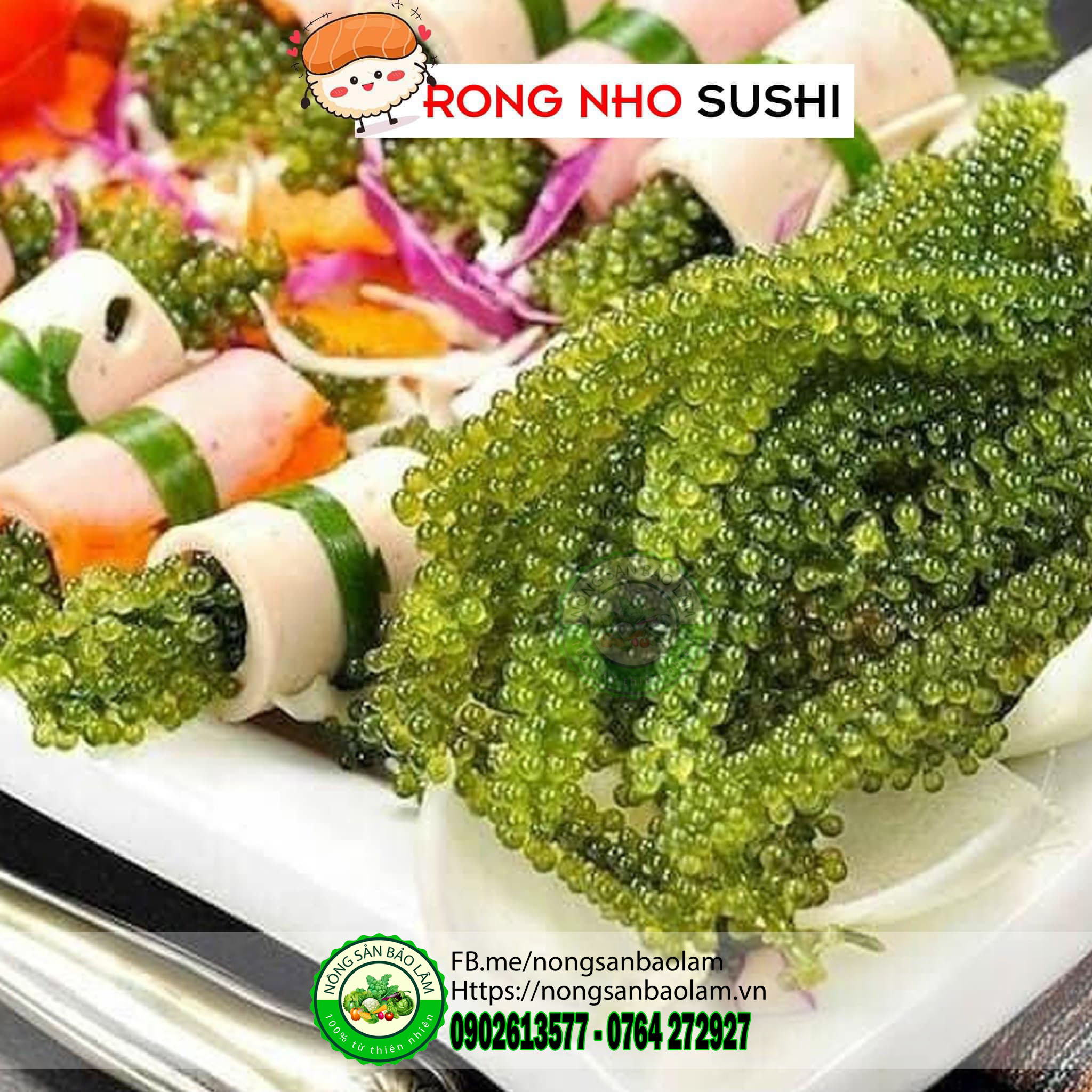 rong nho - trái cây quận 10 HCM - nông sản bảo lâm 2