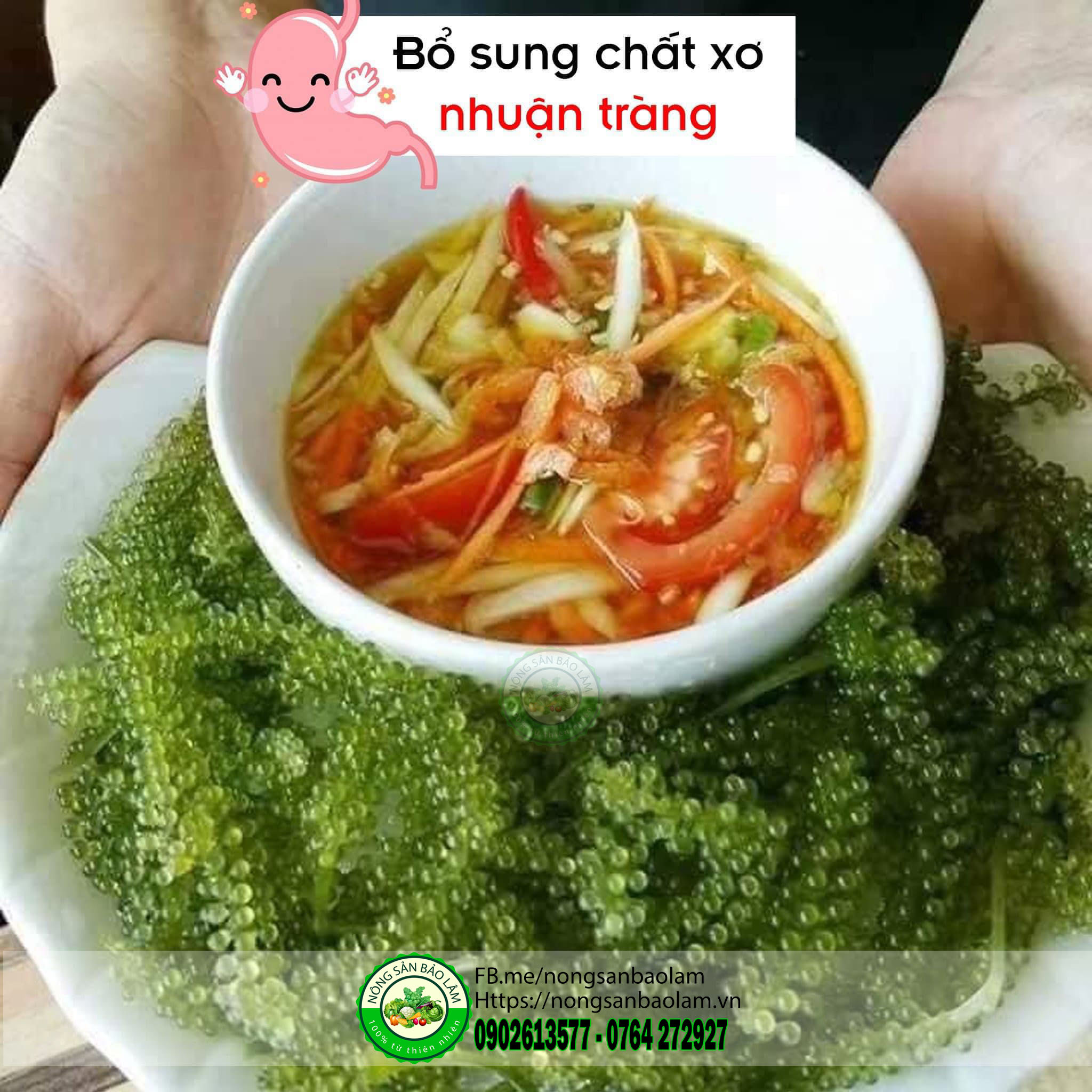 rong nho - trái cây quận 10 HCM - nông sản bảo lâm 6