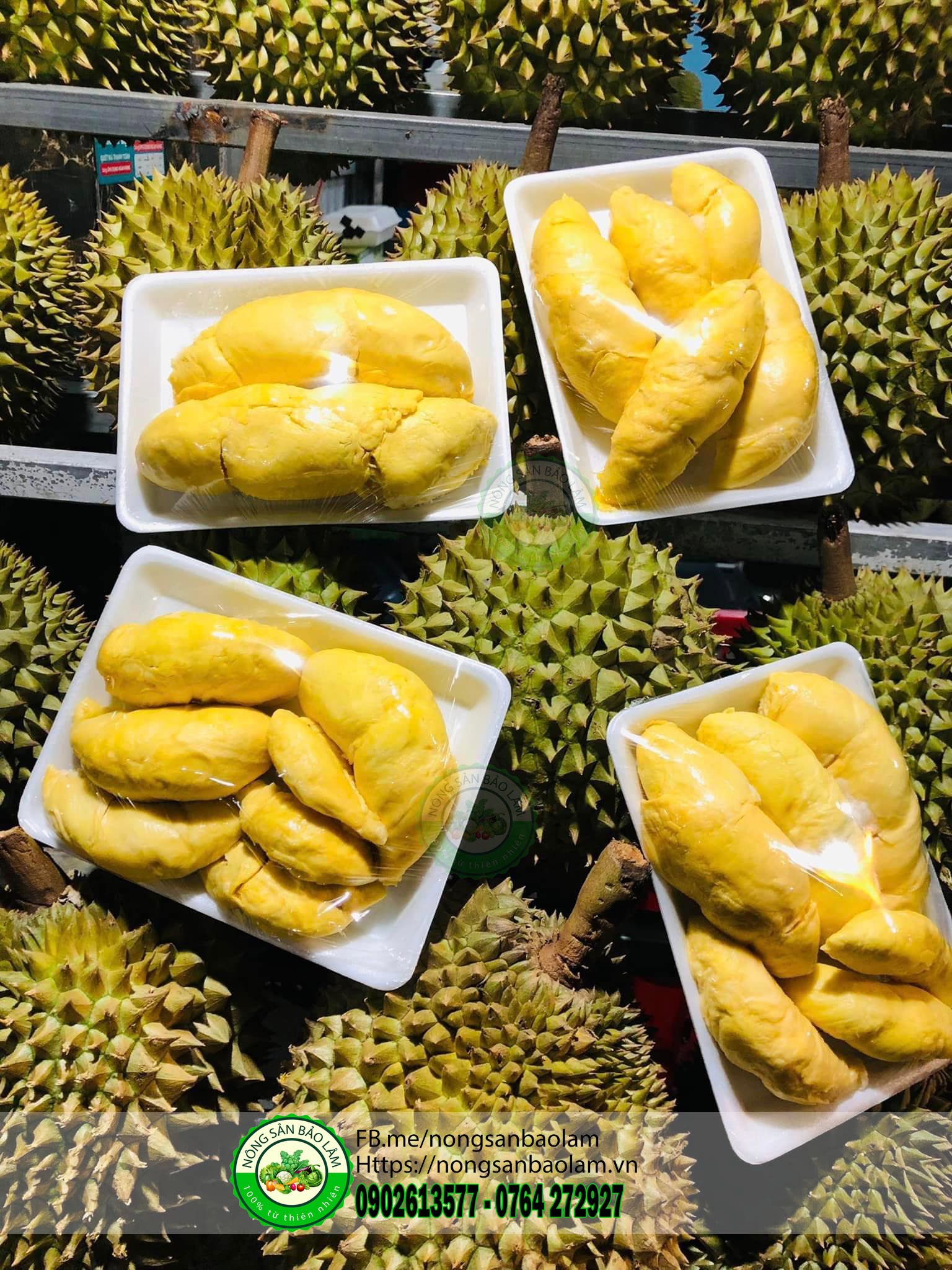 sầu riêng ri6 - nông sản bảo lâm