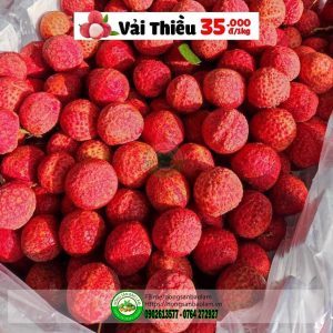 Nông Sản Bảo Lâm, Trái Cây Quận 10 HCM, Trái Cây Sài Gòn, Trái Cây Xanh, Trái Cây Sạch, Trái Cây Xuất Khẩu, Trái Cây Nhập Khẩu, Trái Cây Theo Mùa, Trái Cây Vườn, Nông Sản Sạch, fruits, healthy food, Hàng Tiêu Dùng, Hải Sản Tươi Sống, Nho, Dâu, Táo, Lê, Sầu Riêng, Bưởi, Thơm, Dưa Hấu, Cherry, Cá, Hàu, Thịt Heo, Thịt Gà, Thịt Bò, Mẹ, Bé