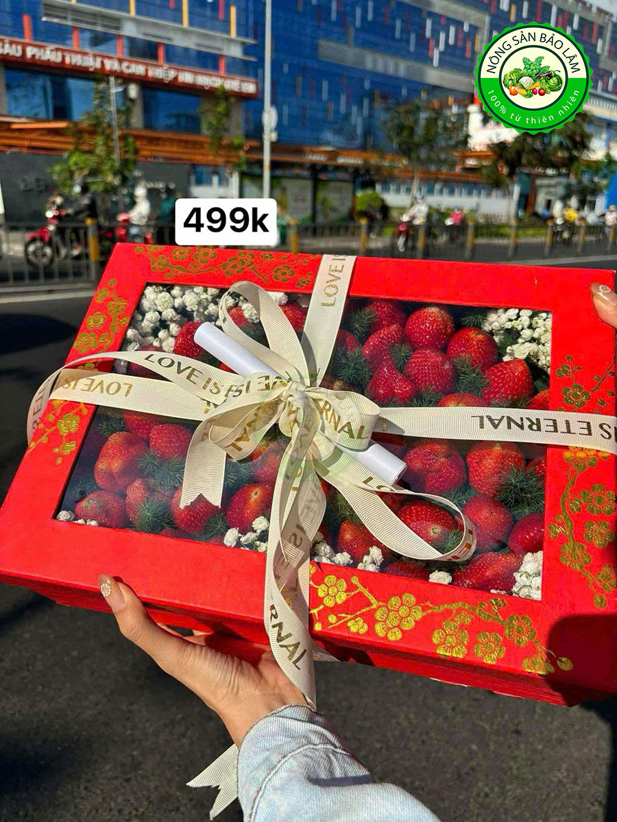 Quà Trái Cây - Hộp Chữ Nhật 5 - 599 - Nông Sản Bảo Lâm