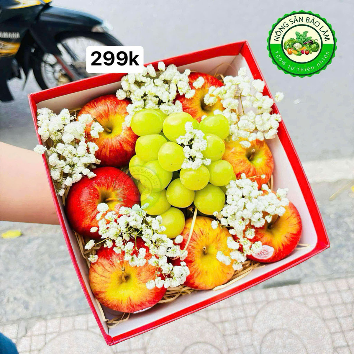 Quà Trái Cây - Hộp Vuông 299 - Nông Sản Bảo Lâm copy