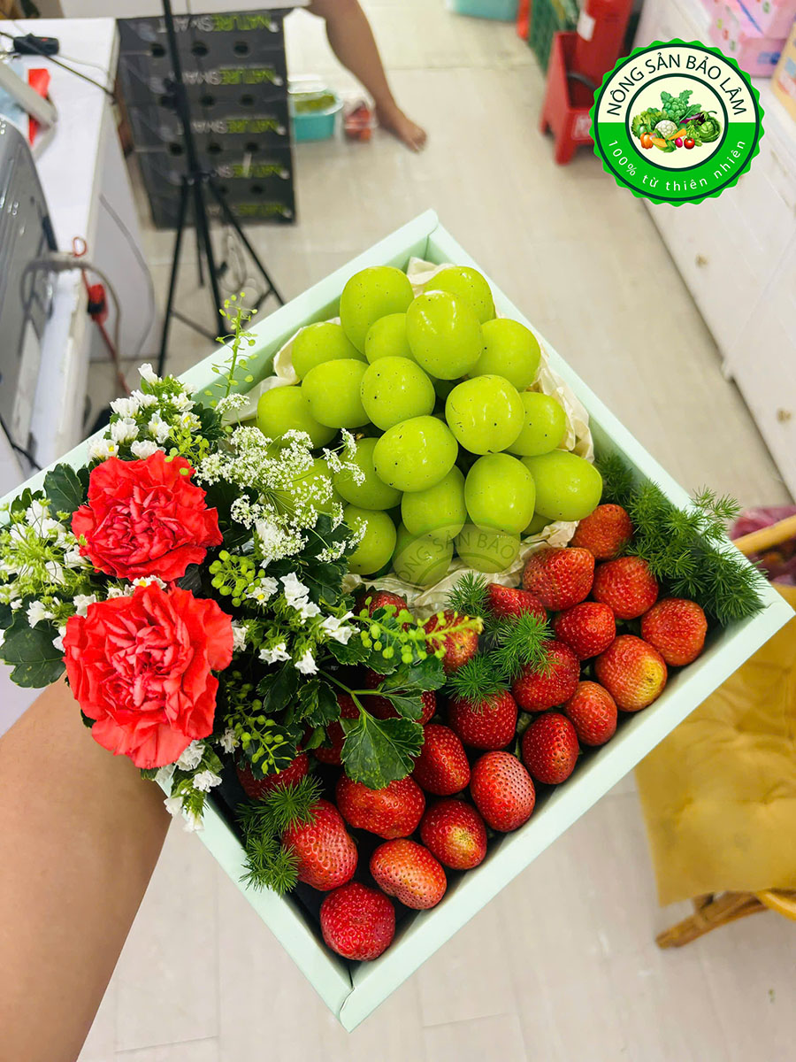 Quà Trai Cây - Hộp Vuông 3 (3)