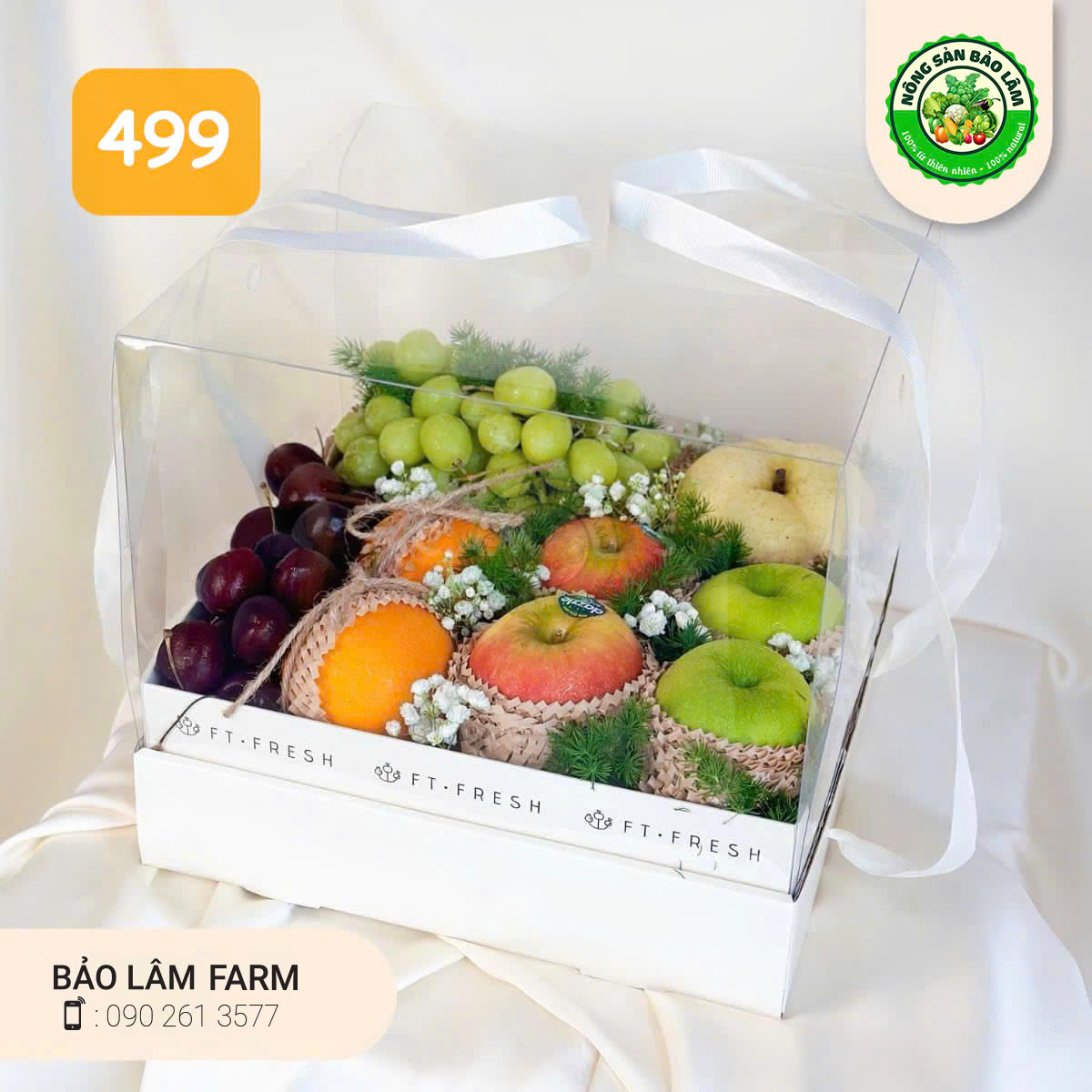 Quà Trái Cây - Hộp Chữ Nhật 8 - 499- Nông Sản Bảo Lâm
